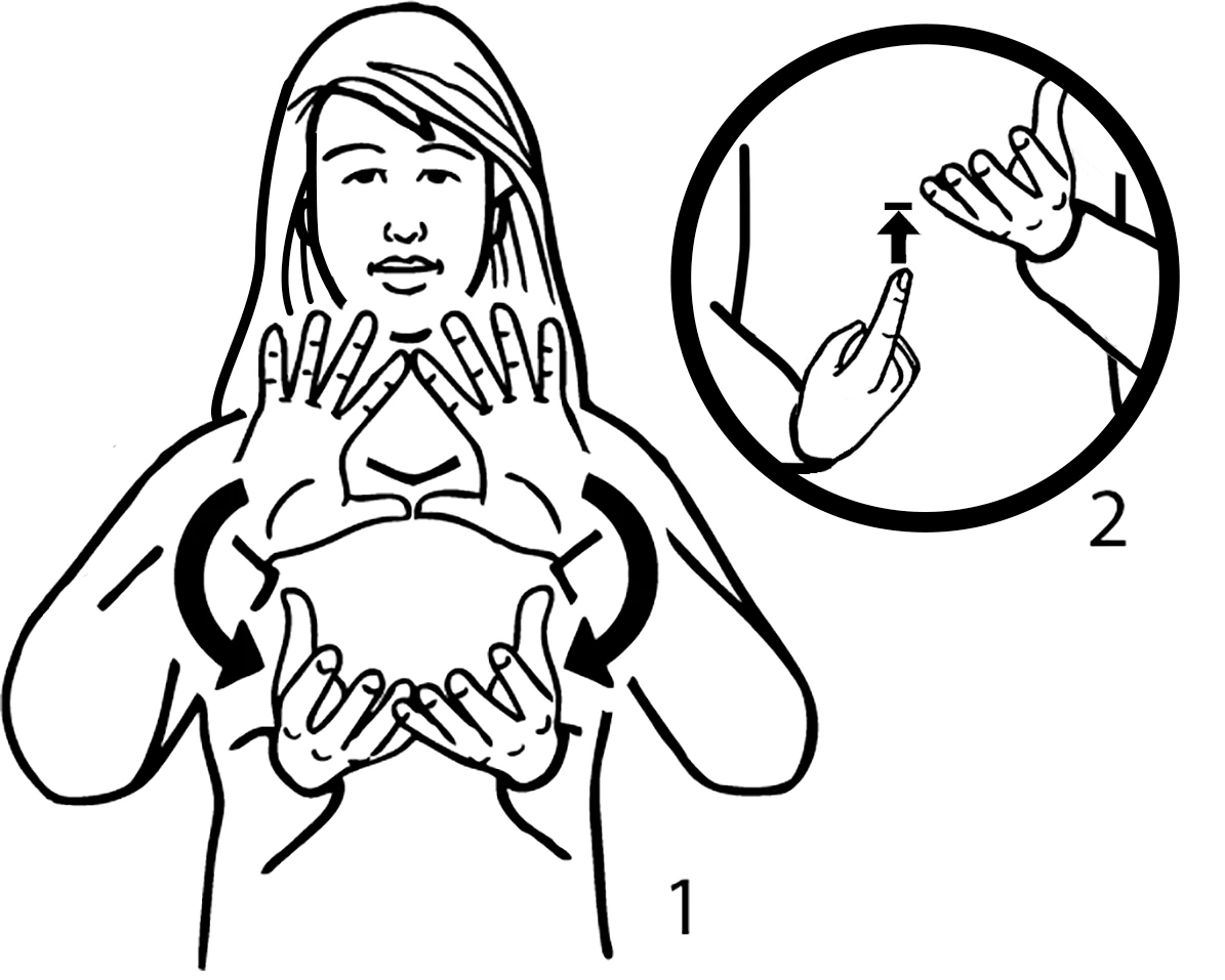 Antarctic — sign illustration with a handshape detail