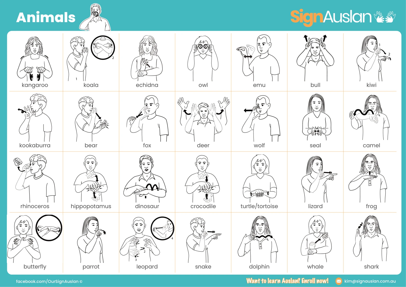 Auslan animals teaching poster